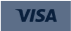 visa icon